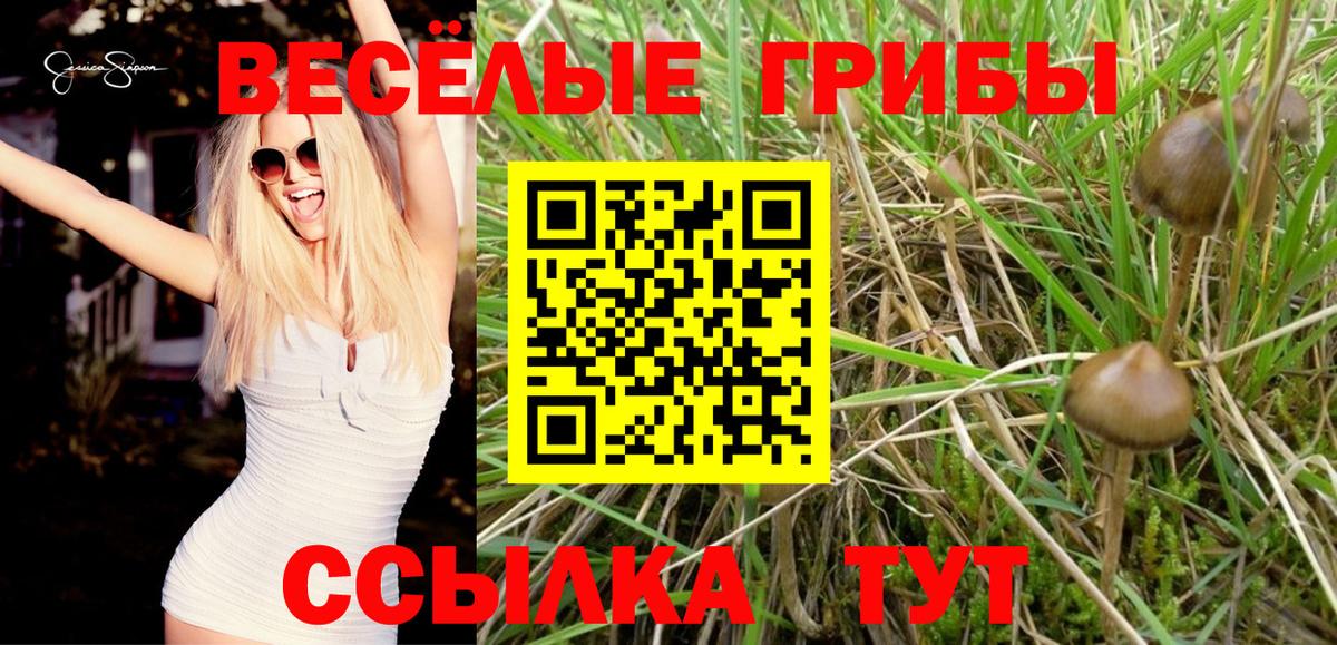 Псилоцибиновые грибы Psilocybe  Галлюциногенные грибы Cubensis  Губкинский  Вход с VPN 