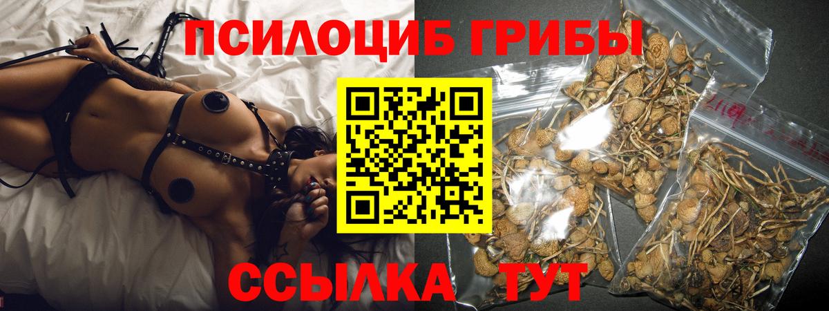 Псилоцибиновые грибы мицелий Губкинский